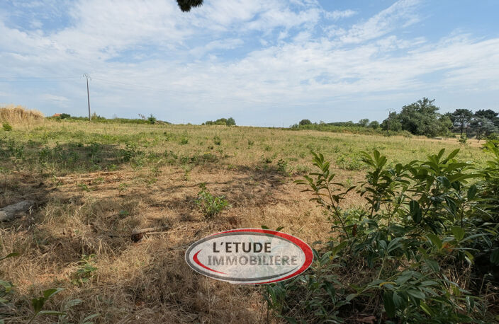 LES PINS -- Maison de caractère au coeur du Vignoble Nantais, — photo 4