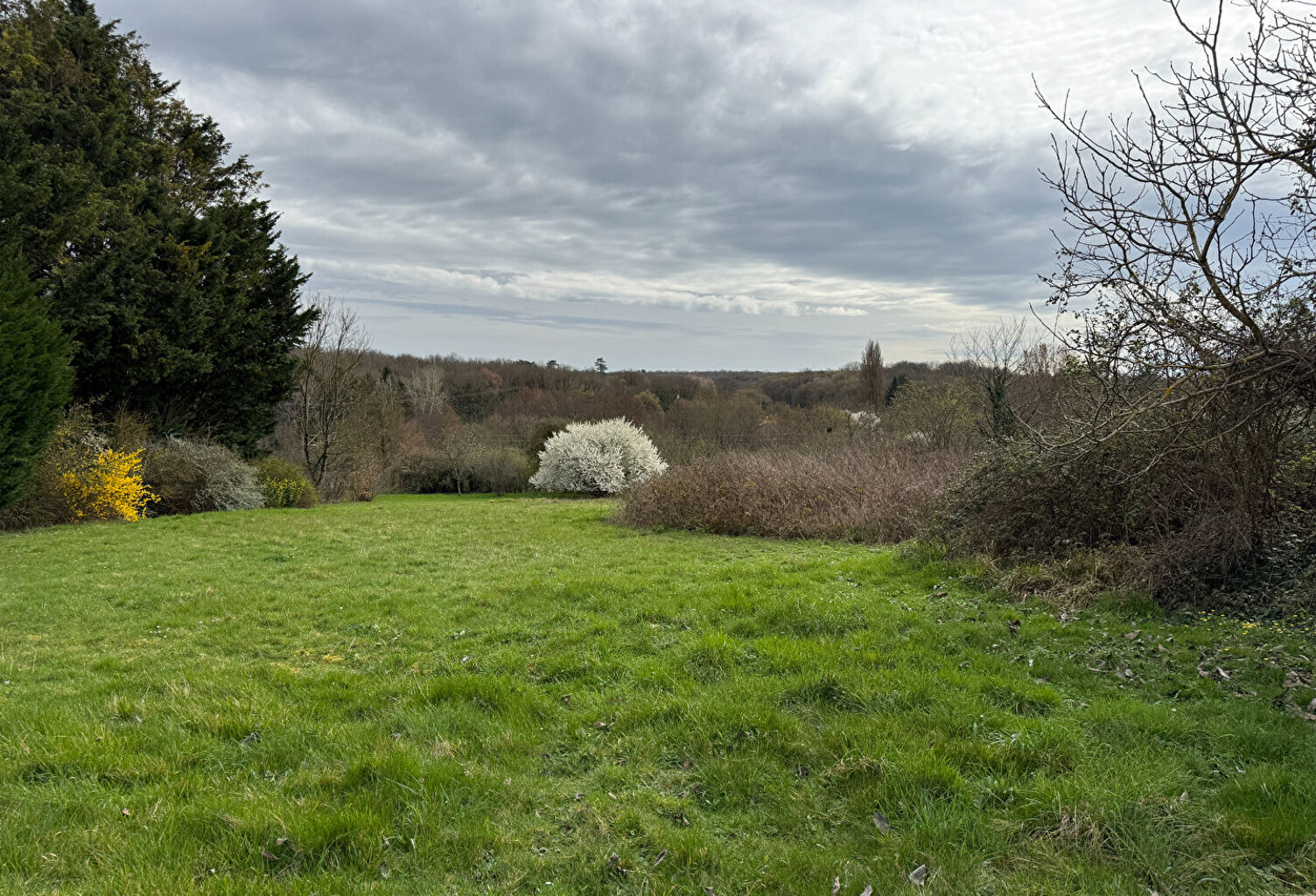 LE SPACIEUX ; LIGUGÉ — photo 1