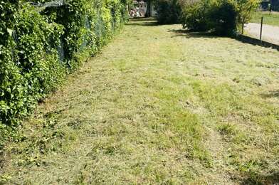 Terrain  60000 €