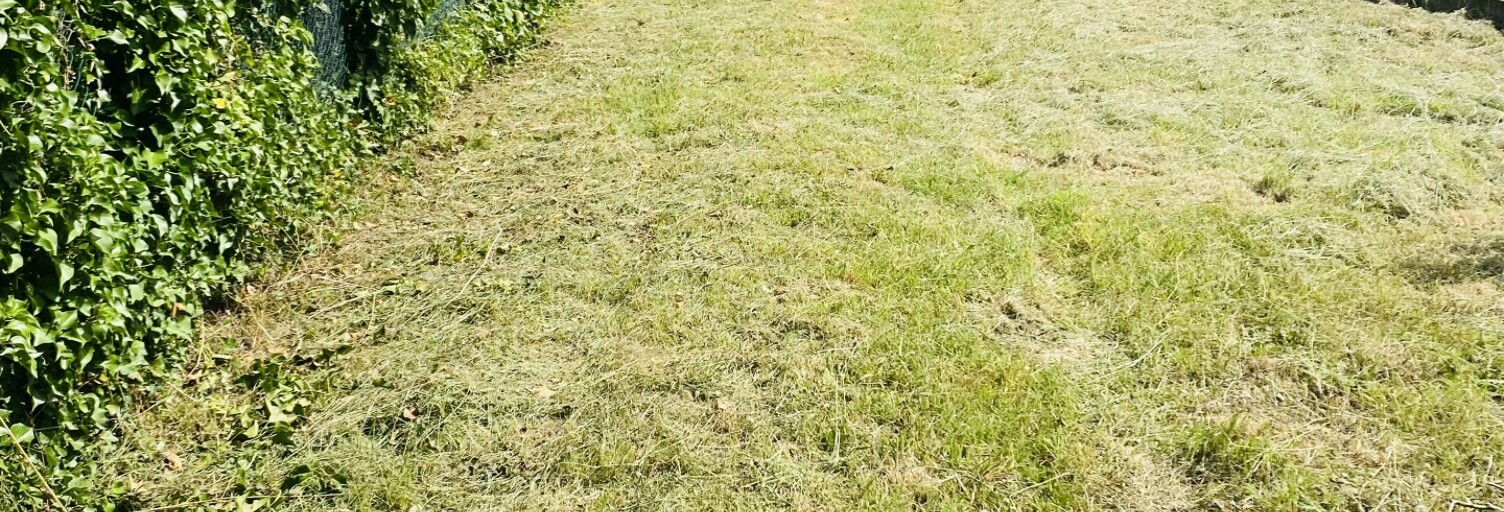Terrain  442 m² à vendre à Castillon-la-Bataille (33350)