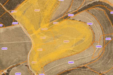 Terrain  25000 €