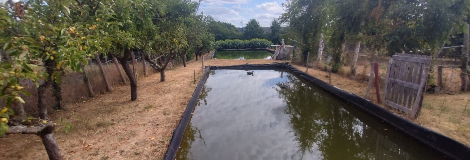 Photo N° 2