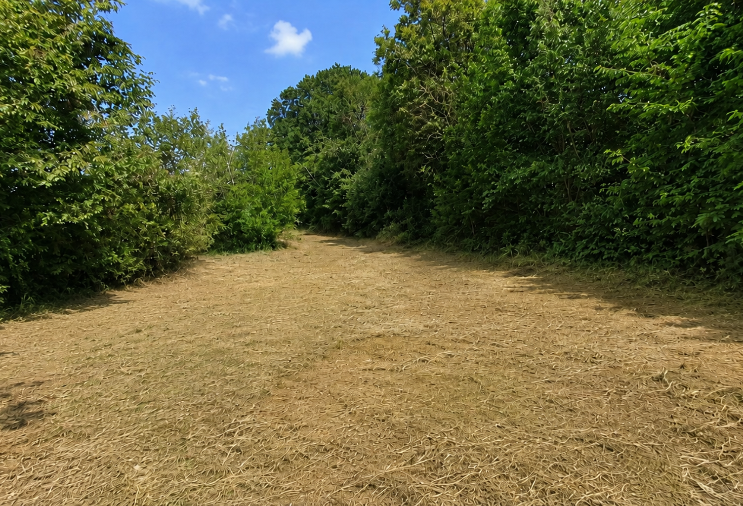 Vente Terrain 388 m&sup2; — photo 1