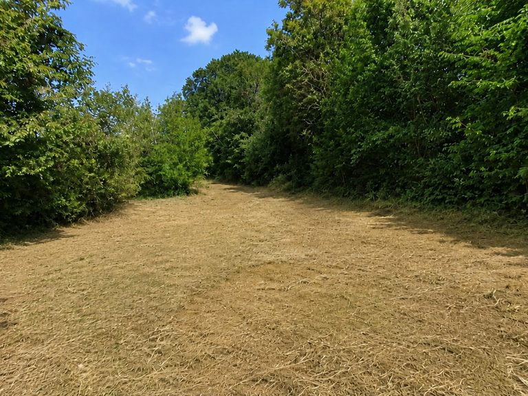 Vente Terrain 388 m&sup2; — photo 1