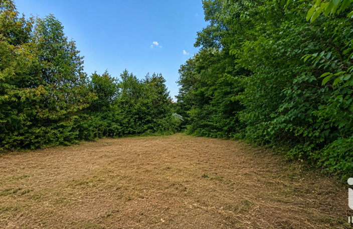 Vente Terrain 388 m&sup2; — photo 2