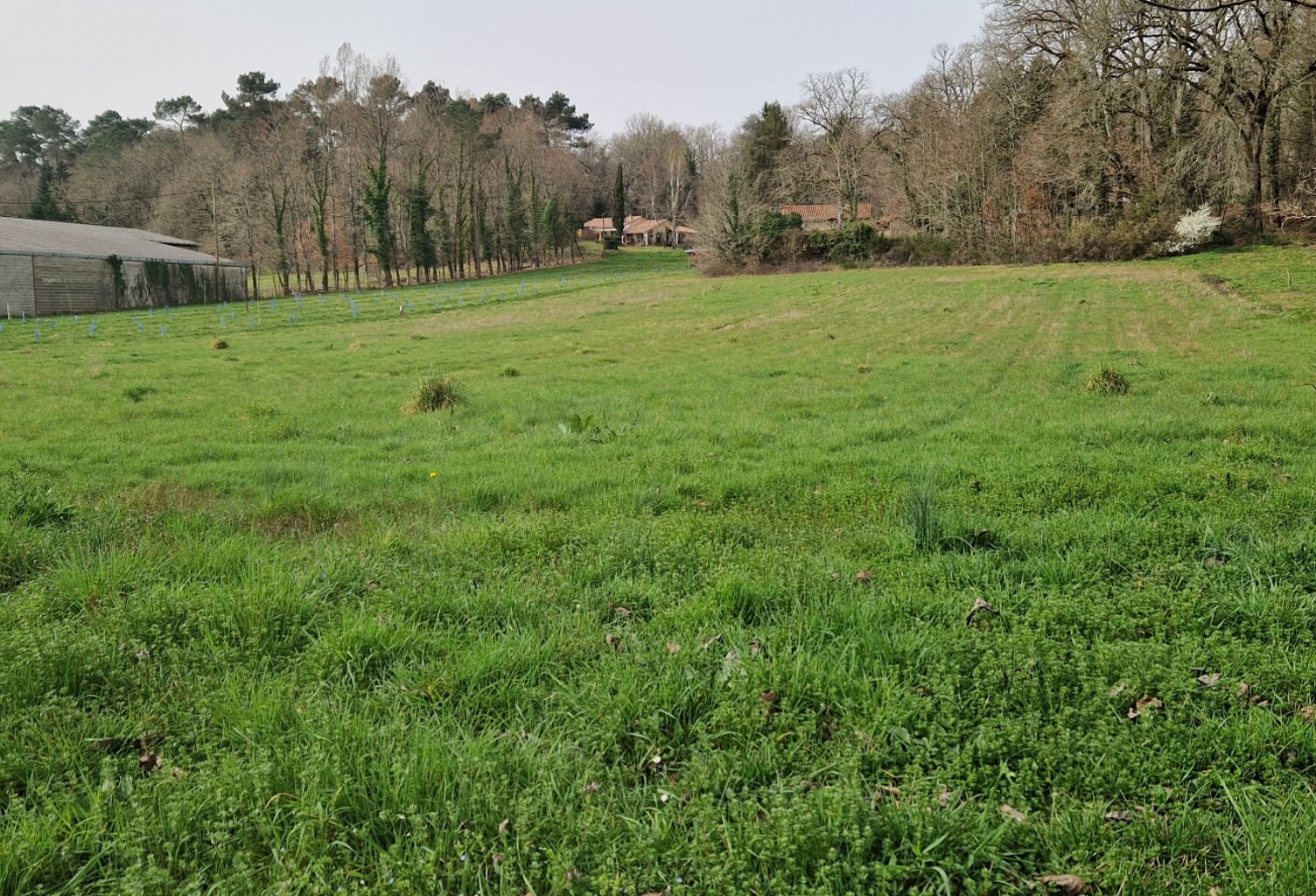 Vente Terrain à bâtir 4 525 m&sup2; — photo 1
