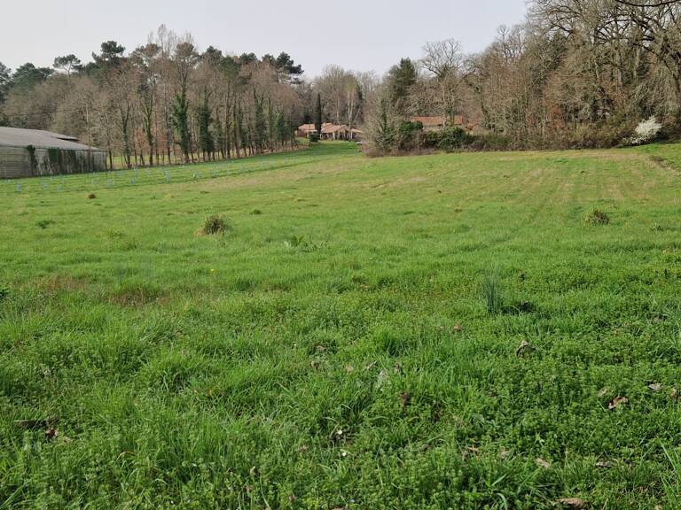 Vente Terrain à bâtir 4 525 m&sup2; — photo 1