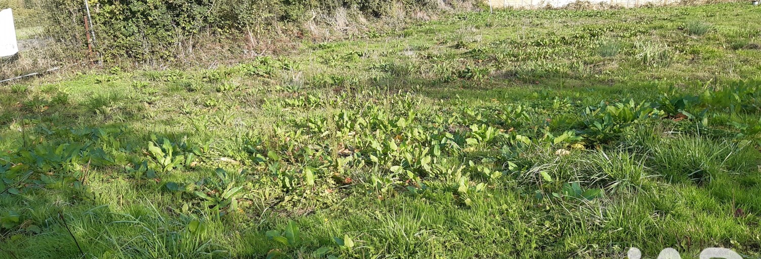 Terrain  558 m² à vendre à Cocherel (77440)