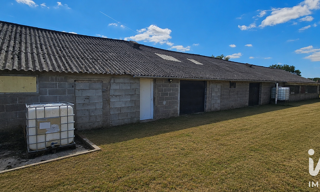 Photo N° 2