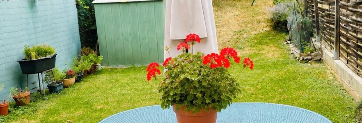 Photo N° 2