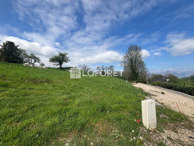 TERRAIN CONSTRUCTIBLE VIMINES - 904 m²  - LIBRE CONSTRUCTEUR - CALME ABSOLU — photo du bien