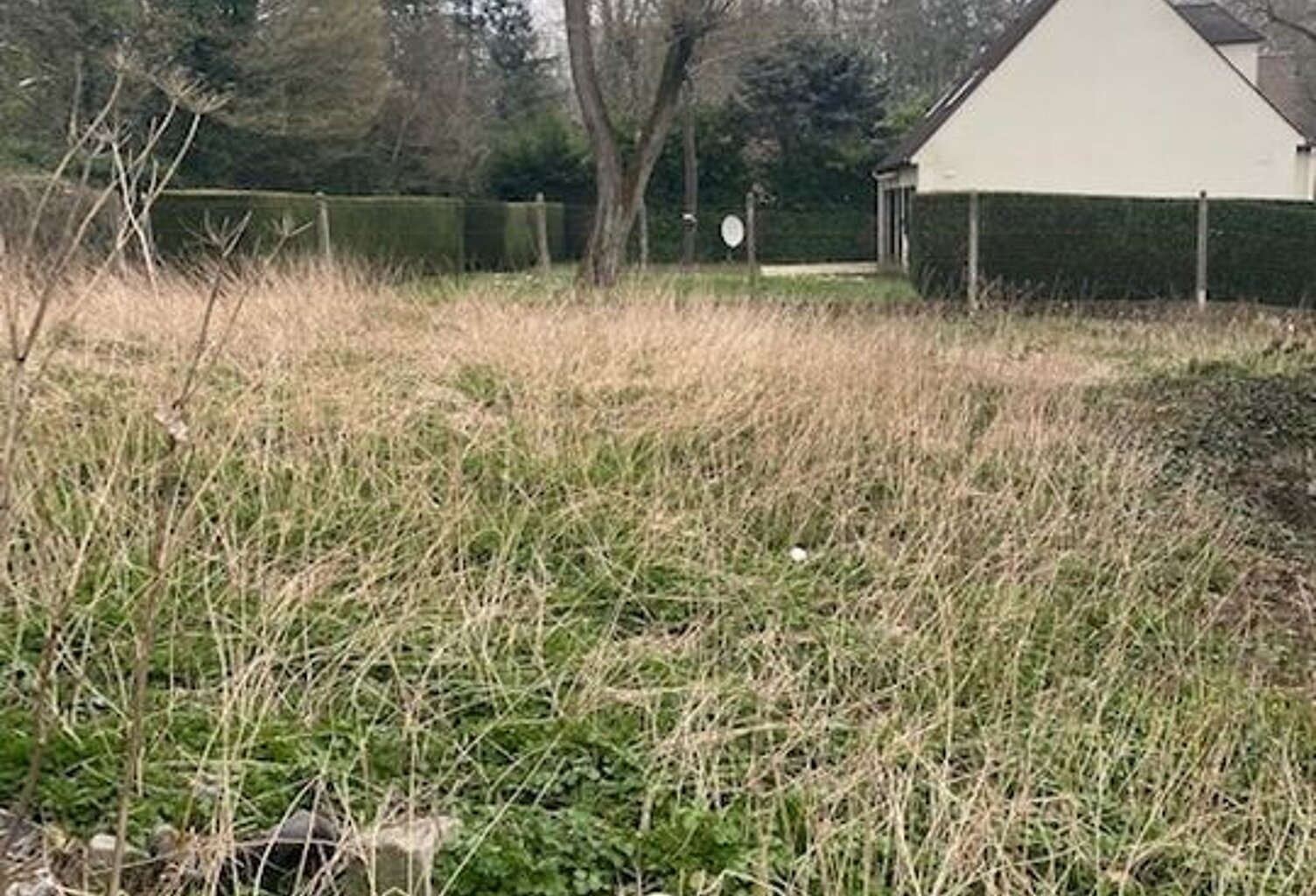 Vente d'un Terrain Constructible plus de 3000m² — photo 1