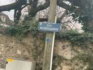Vente d'un Terrain Constructible plus de 3000m² — photo 3