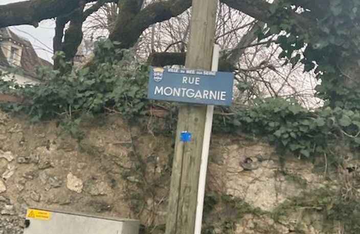 Vente d'un Terrain Constructible plus de 3000m² — photo 3