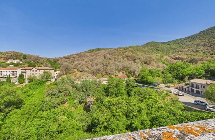 A VENDRE MAISON AUTHENTIQUE SAINTE MARIE SICCHE — photo 3