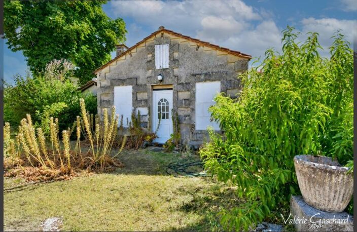 St Antoine sur l'isle  ( Gironde) - Maison en Pierre 250 m² + dépendance et piscine — photo 5