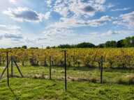 BOURG DE CARIGNAN DE BORDEAUX — photo 3
