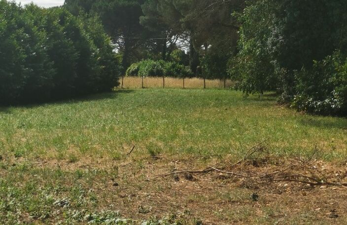 Maison à construire à Langon (33210) — photo 3