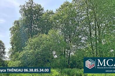 Terrain  59000 €