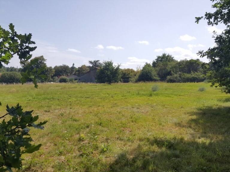 Terrain à bâtir à Le Teich (33470) — photo 1