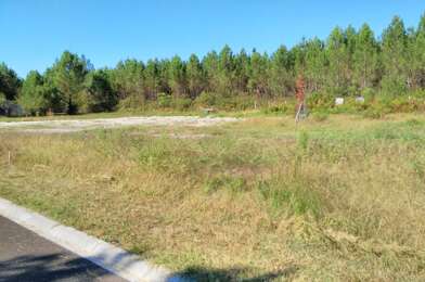 Terrain  180000 €