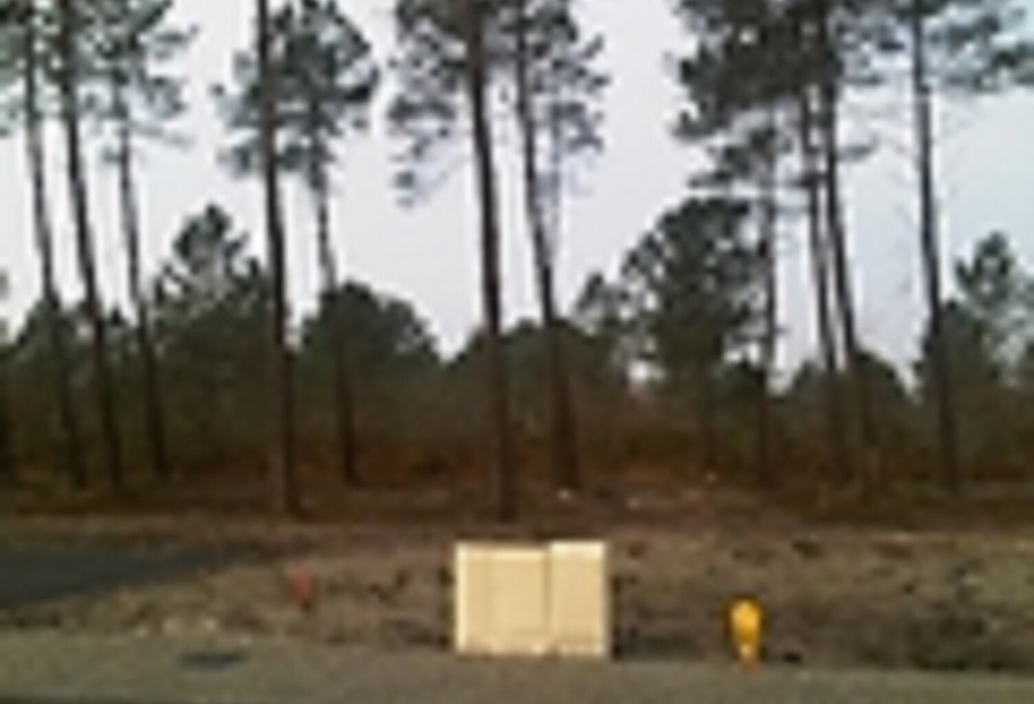 Terrain à bâtir à Pissos (40410) — photo 1