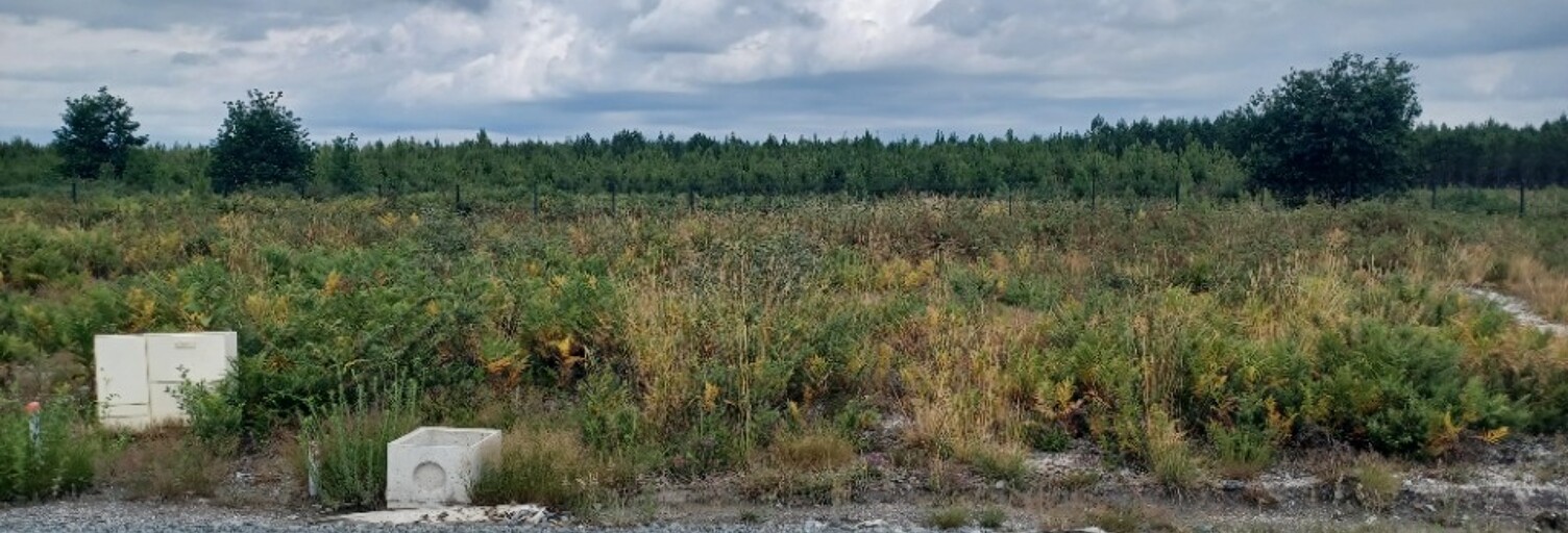 Terrain  612 m² à vendre à Audenge (33980)