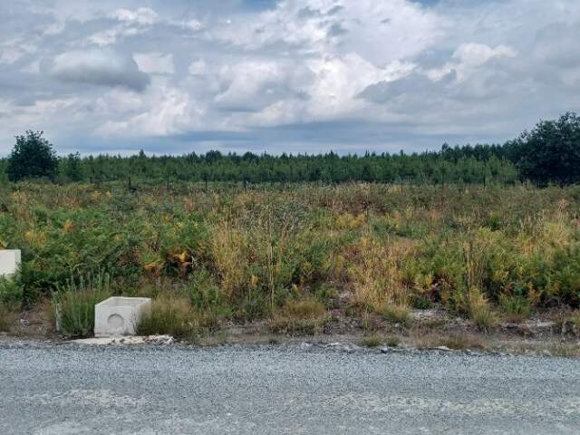 Terrain à bâtir à Audenge (33980) — photo du bien