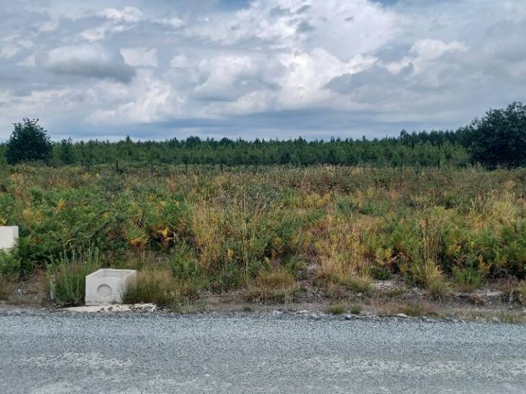 Terrain à bâtir à Audenge (33980) — photo 1
