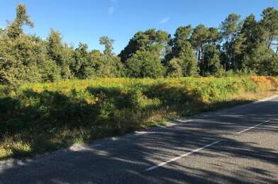 Terrain  91000 €