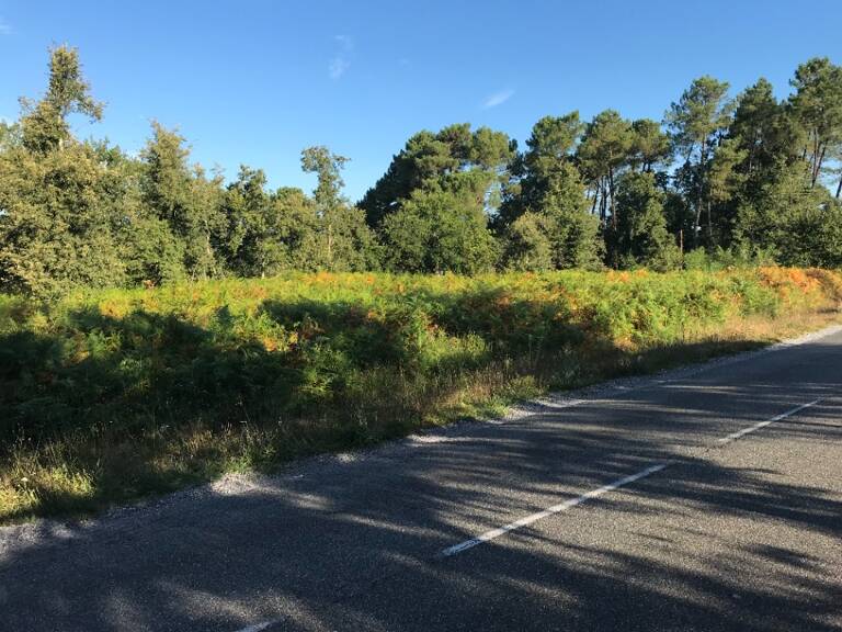 Terrain à bâtir à Gastes (40160) — photo 1