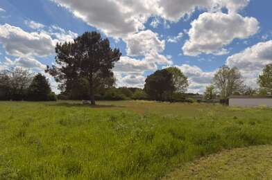 Terrain  85000 €
