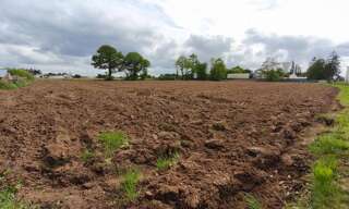 Terrain  8057 m² à vendre à Le Merzer (22200)