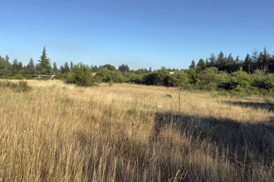Terrain  100000 €