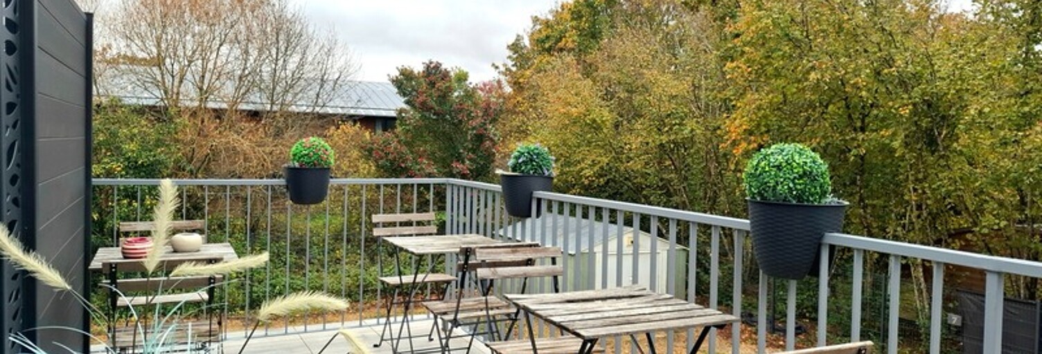 Immeuble 200 m² en viager Fondettes (37230)