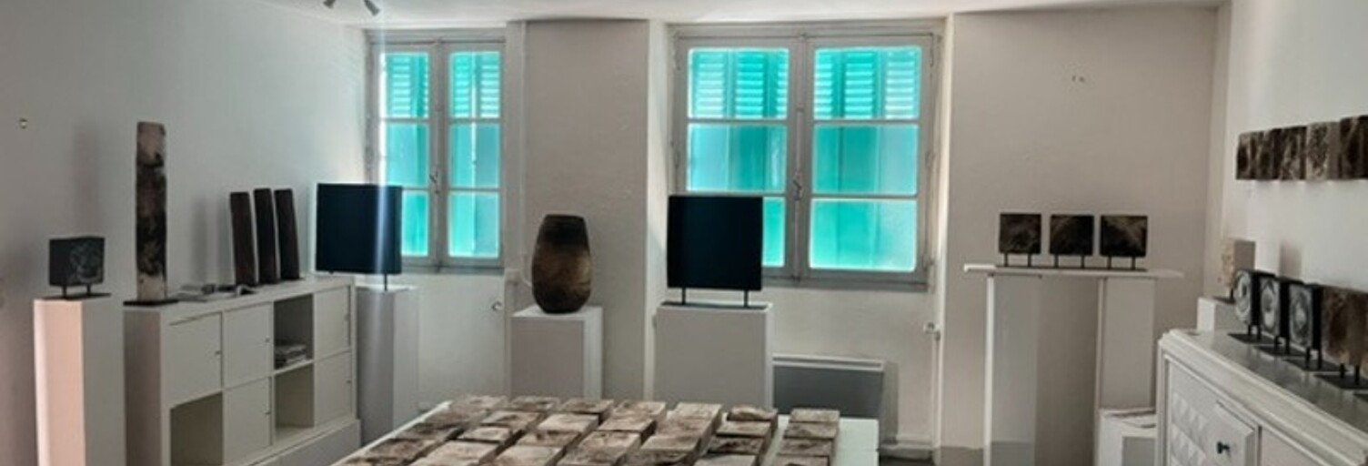 Maison 10 Pièces 300 m² à vendre à Bagnères-de-Bigorre (65200)