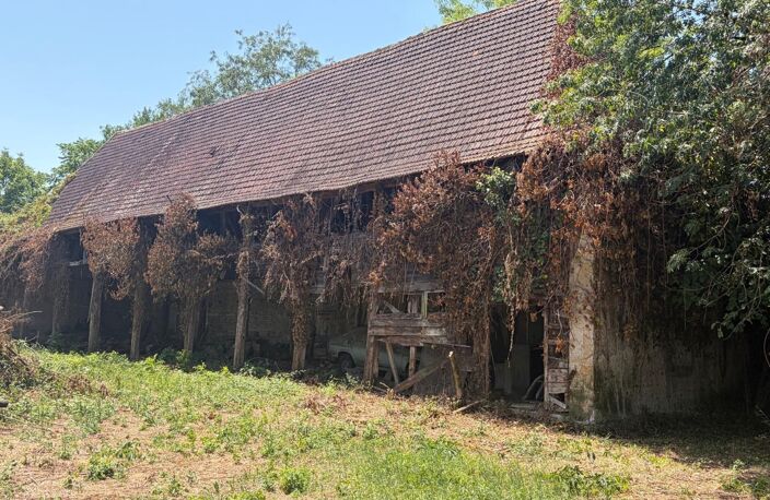 PLAISANCE du GERS proche(32): ANCIENNE PROPRIETE BOURGEOISE avec dépendances, bois, petit etang, 2 hectares,CALME, sans vis à vis — photo 4