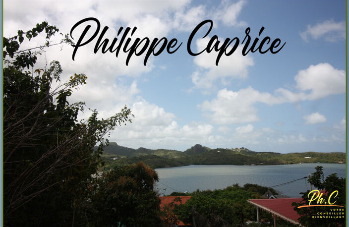 Dpt Martinique (972), à vendre LE FRANCOIS terrain — photo 2