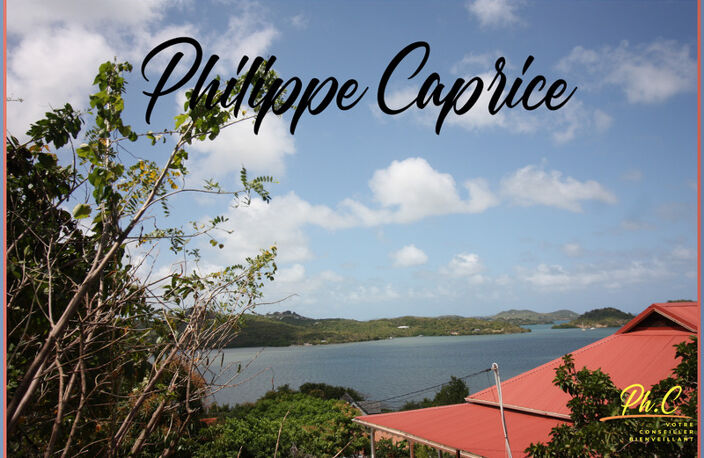 Dpt Martinique (972), à vendre LE FRANCOIS terrain — photo 4