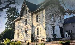 Commerce 11 Pièces 350 m² à vendre à Langeais (37130)