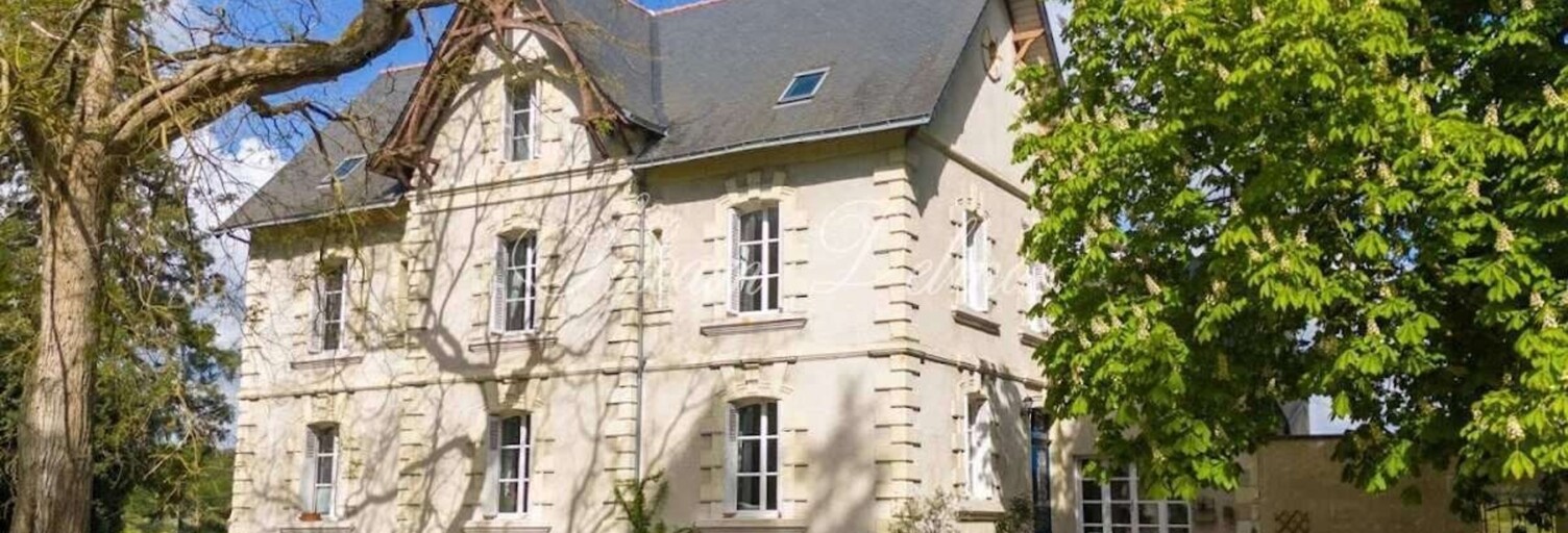 Commerce 11 Pièces 350 m² à vendre à Langeais (37130)