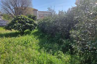 Terrain  291500 €