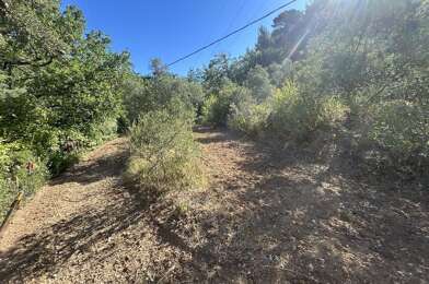 Terrain  132000 €