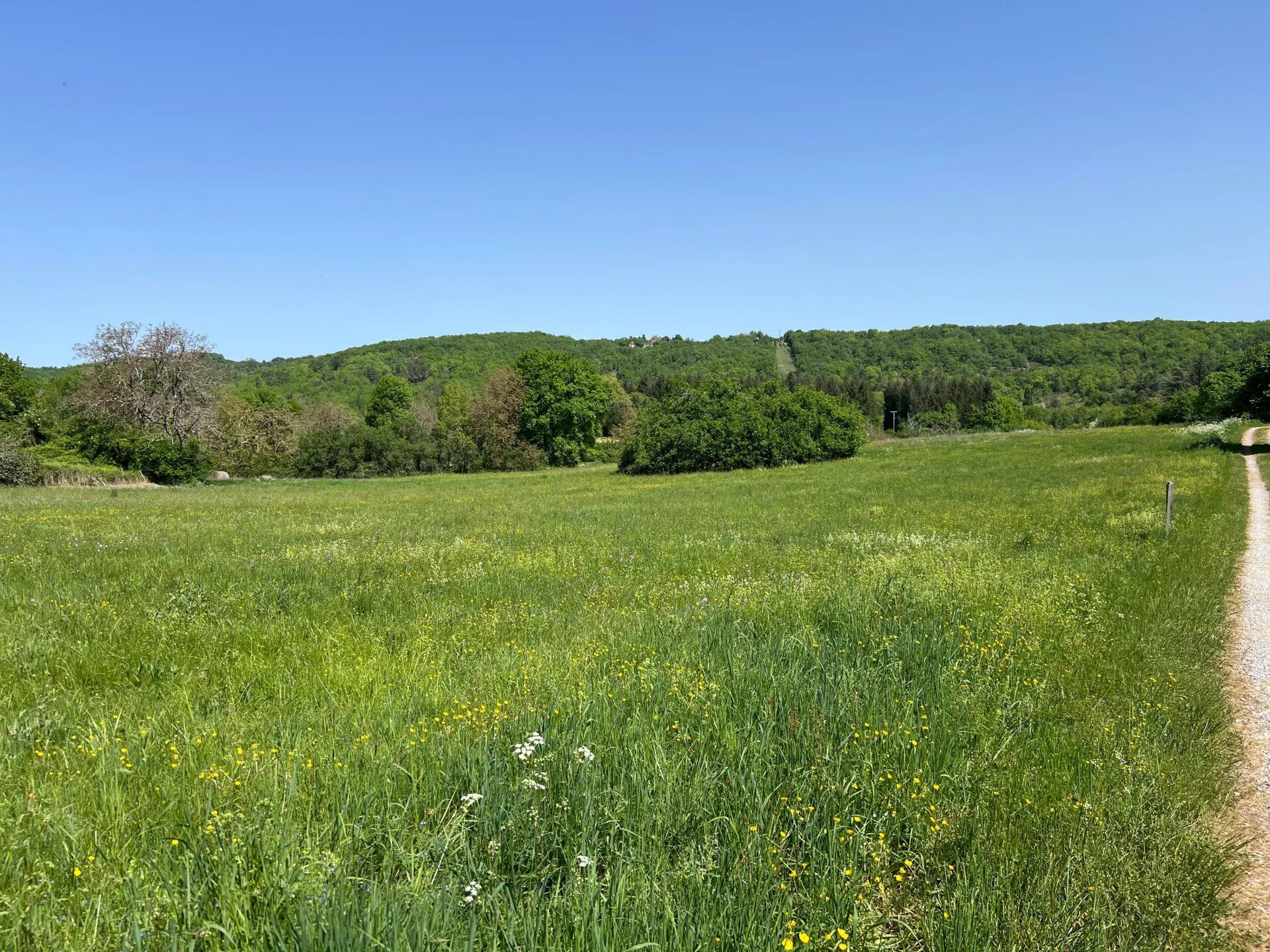 Acheter terrain 1 765 m² 20 000 € à marminiac (46250) : une annonce arthurimmo.com · 20 000 €