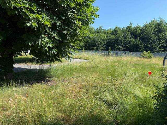 Terrain constructible — photo du bien