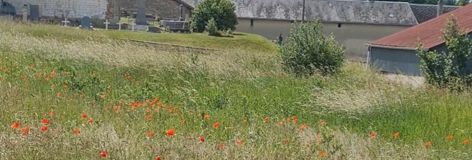 Terrain  7388 m² à vendre à Saint-Martin-l'Heureux (51490)