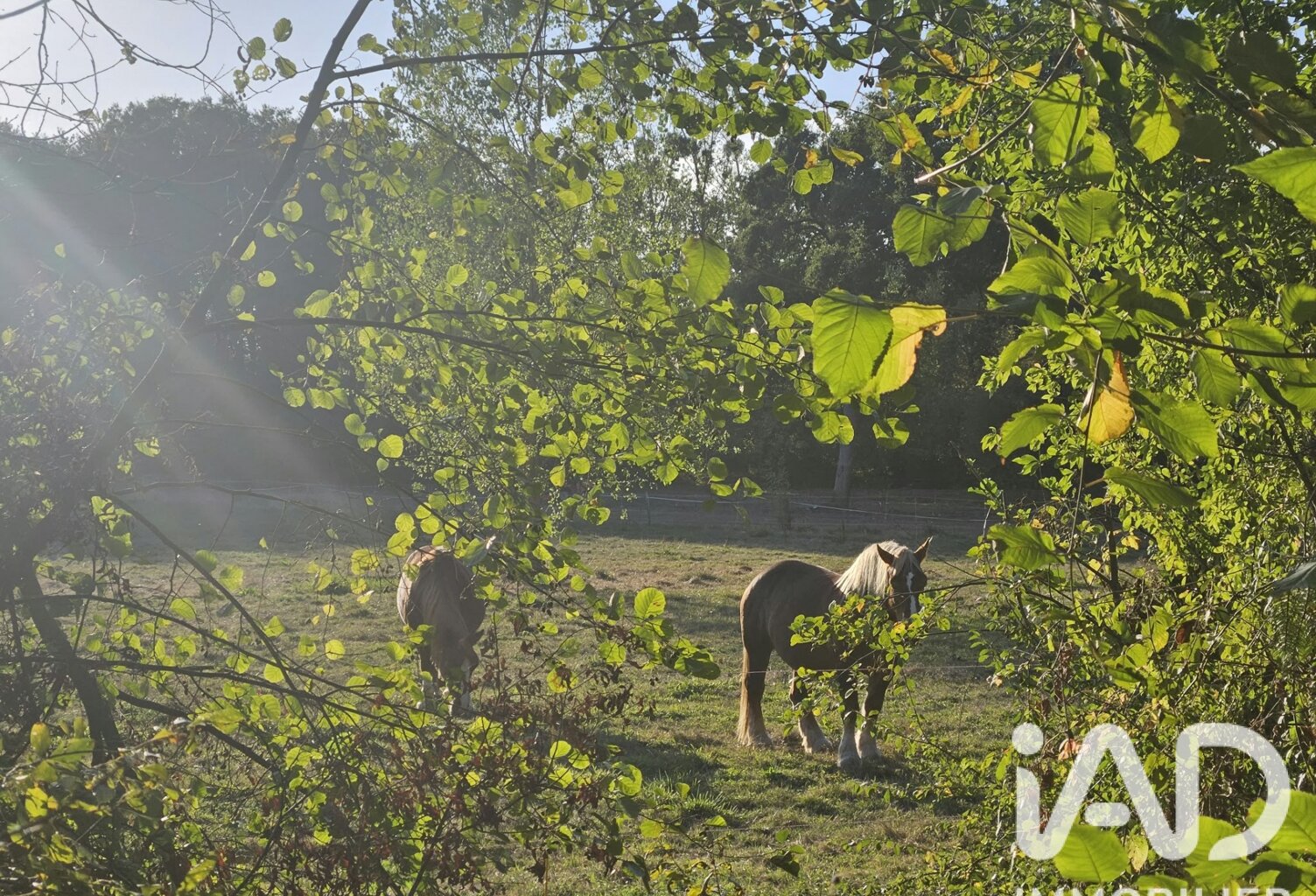 Vente Longère 8 pièces — photo 1