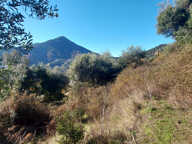 TERRAIN CONSTRUCTIBLE 2350 M2 -  VICO — photo 2