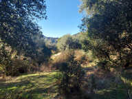 TERRAIN CONSTRUCTIBLE 2350 M2 -  VICO — photo 3