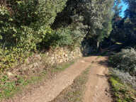 TERRAIN CONSTRUCTIBLE 2350 M2 -  VICO — photo 4